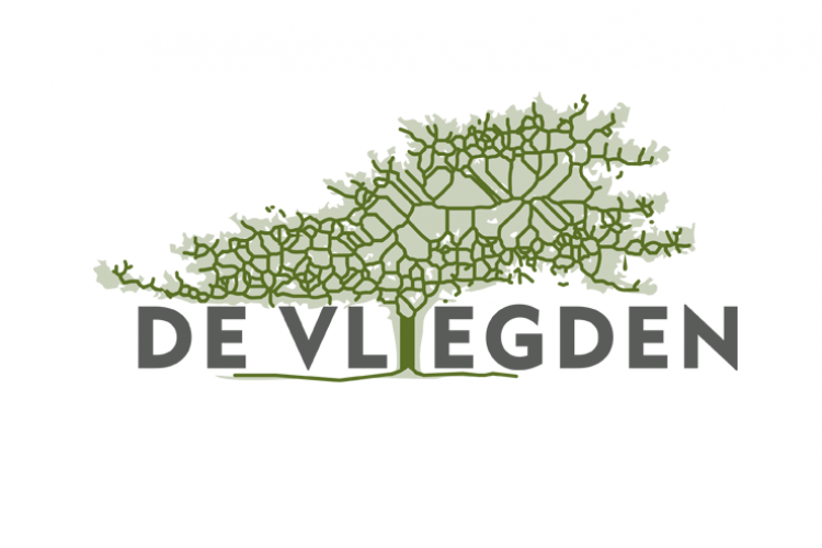 vliegden