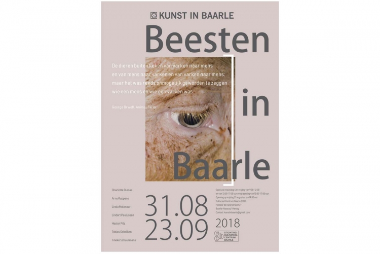 Beesten In Baarle poster