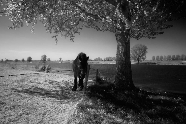 foto brabants landschap 004