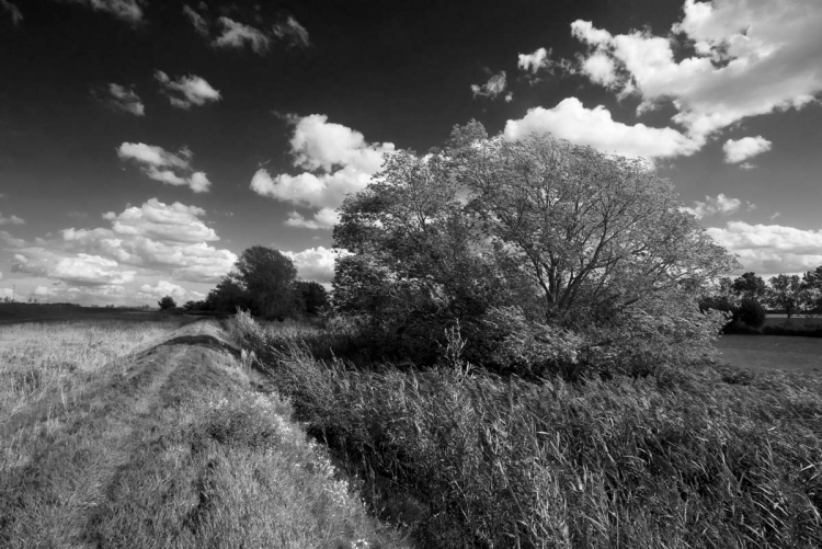 foto brabants landschap 007