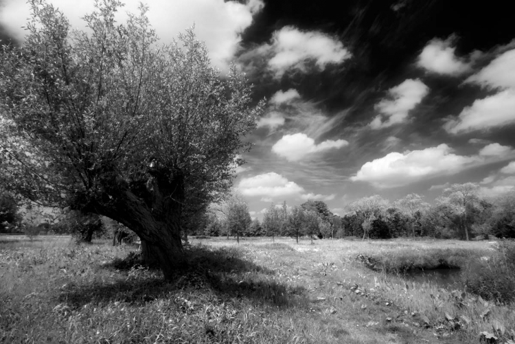 foto brabants landschap 010