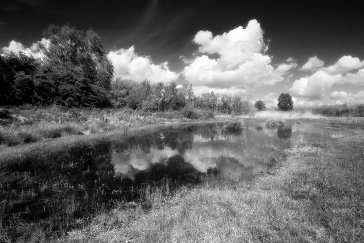 foto brabants landschap 015